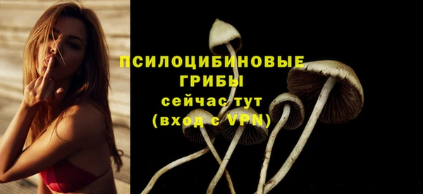 соль курить ск Абдулино