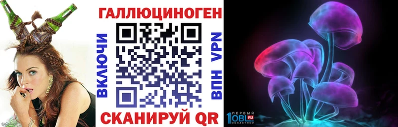 Псилоцибиновые грибы Cubensis  купить   Чебаркуль 