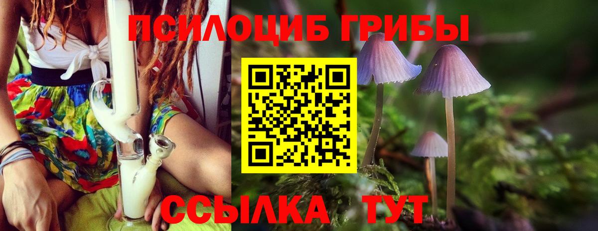Чебаркуль  Галлюциногенные грибы ЛСД  Вход с VPN 